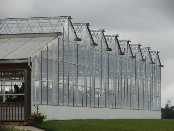 greenhouse2.jpg