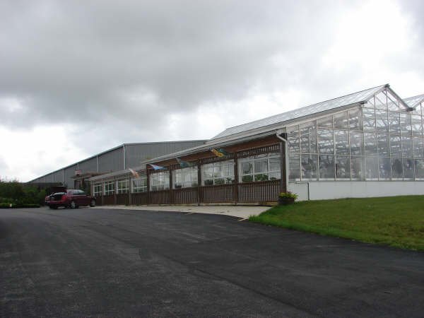 greenhouse4.jpg