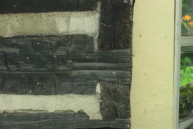 exterior3.jpg